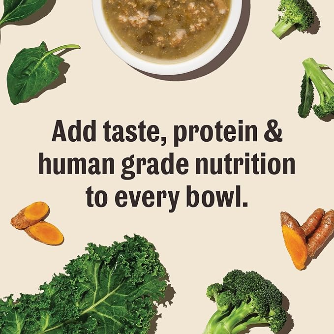 The Honest Kitchen Human Grade Superfood POUR OVERS Wet Toppers for Dogs (12 Pack), 5.5 oz - Chicken Stew