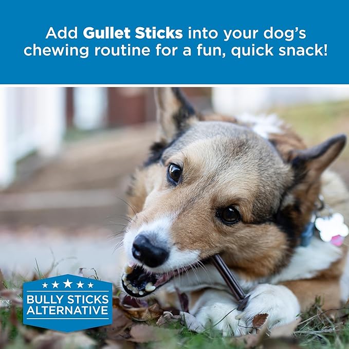 Best Bully Sticks 6 Inch Gullet Sticks - 25 Count (Pack of 1) - Natural, Esophagus Snack, Rawhide Alternative