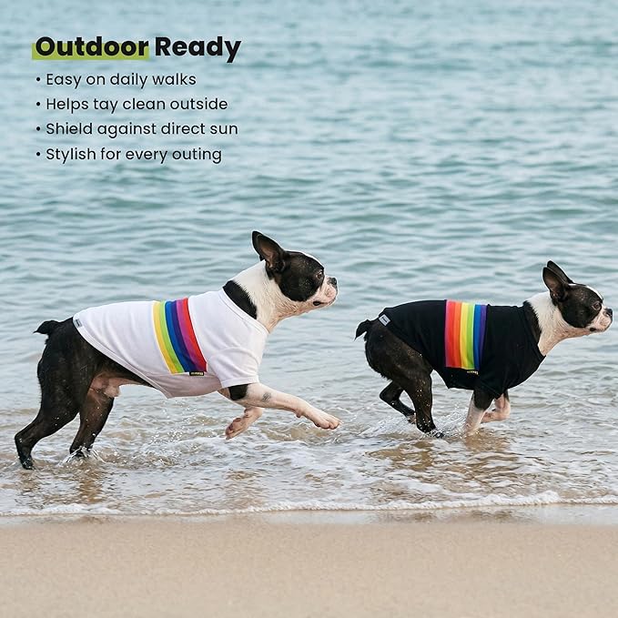 Fitwarm 3 Pack Rainbow Striped Dog Shirt, Dog Summer Clothes for Small Dogs Boy Girl, Breathable Lightweight Pet Tshirt with Sleeves, Cat Outfit, White, Black, Multicolored, XXL