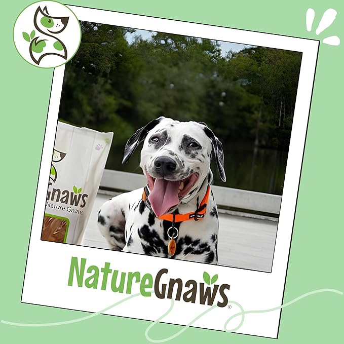 Nature Gnaws Beef Tendon Wraps for Dogs (5 Count) - Long Lasting for Aggressive Chewers - Natural Beef Dog Chew Bones - Rawhide Free