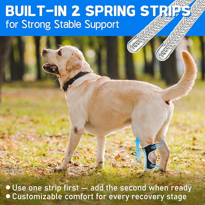 Dog Leg Brace Canine Rear Leg Support, Relieve Pain from Sprains, Arthritis, Enhancing Stability, Helps with Loss of Stability from Arthritis(Black,M)