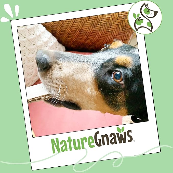 Nature Gnaws USA Deer Antlers for Dogs 4-7" (3 Count) - Mix of Split and Whole Pieces - Long Lasting for Small and Medium Breeds - Natural Dog Chew Bones