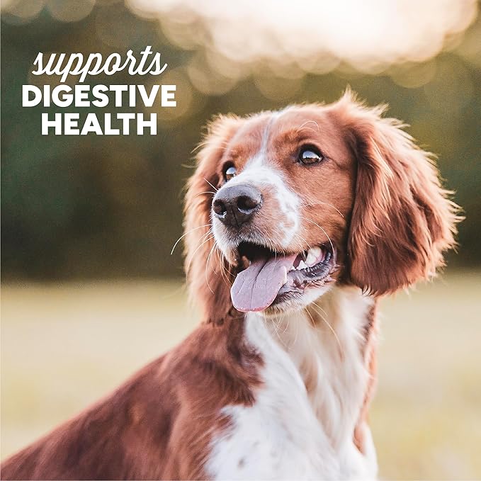 Cloud Star Dynamo Dog Tummy Soft Chews Grain Free Dog Treats, Pumpkin & Ginger, 14 oz. Pouch