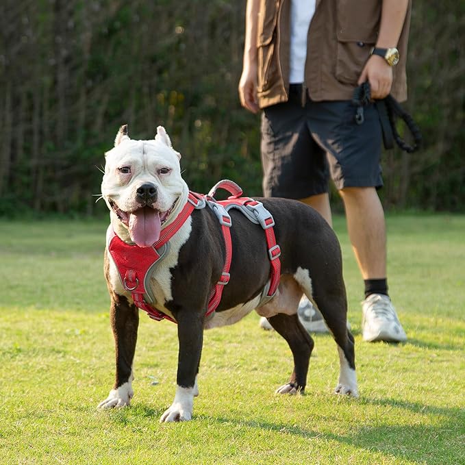 Huntboo Escape Proof Dog Harness, Escape Artist Harness, Reflective Harness with Padded Handle, Breathable, Durable, Adjustable Vest for Medium Dogs Walking, Training, and Running Gear (Red, S)