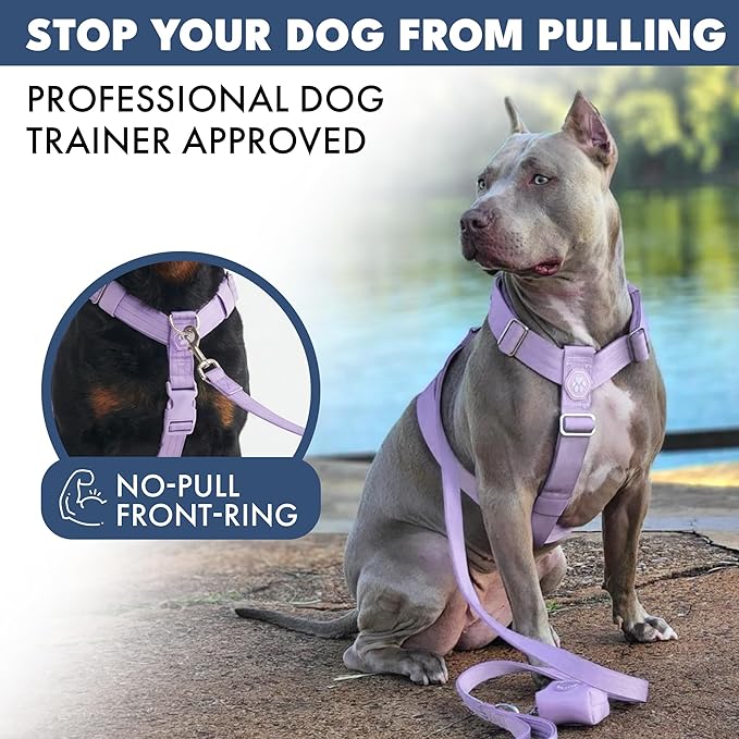 Spark Paws No Pull Dog Harness with Handle for Large Dogs, Heavy Duty Dog Harness for Big Strong Breeds, Adjustable, Y Shaped Padded Halter Design with Front Clip - Lilac - L