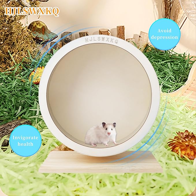 11.42in Silent Hamster Wheel with 2 Natural Chew Toys - Wooden Exercise Wheel with Removable Track, Quiet Spinner for Gerbils, Mice, Hamsters,Mouse,Syrian Hamster(11.42in)