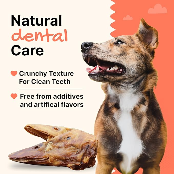 Gaines Family Farmstead Duck Heads for Dogs – 8 Count, Single Ingredient, Dehydrated Dog Chews – High in Protein, Supports Dental Health & Joint Care – Rawhide-Free Treats, Made in USA