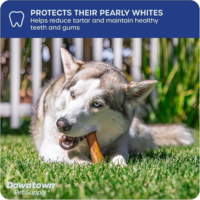 Downtown Pet Supply Jumbo Bully Sticks for Dogs - Natural Beef Chews, Low-Odor & Rawhide-Free, Long Lasting Dog Treats for Aggressive Chewers - Healthy, Safe & Delicious Chews Dogs Love (12" 10 Pack)