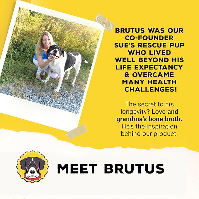 Brutus Brothcicles - All Natural Turkey Flavored - Frozen Dog Superfood Treats for Hydration and Snacking