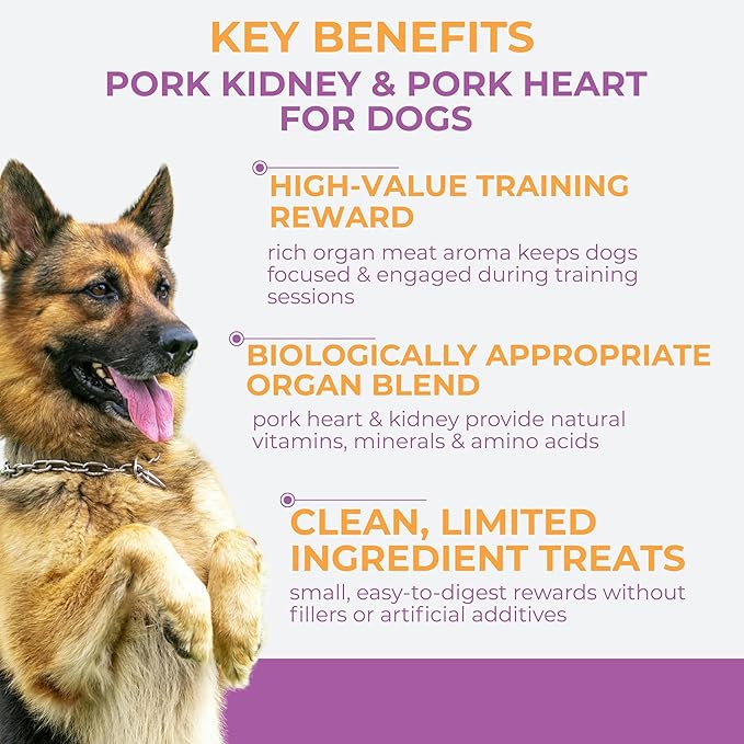 Momentum Carnivore Nutrition Freeze-Dried Pork Training Bites – Two Ingredients-Pork Kidney and Heart, Grain-Free, All-Natural Dog Treats –Made in USA – Perfect for Training & Rewards- 2.5 oz Bag