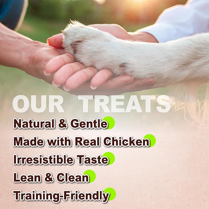 A Freschi srl Chicken Dog Treats, All Natural, Healthy & Easily Digestible, Low-Fat Puppy Chews, Human Grade Training & Rewards Dog Snacks, Rice Sticks, 24 oz Pack
