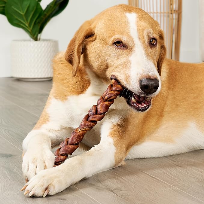 USA Beefhide Braids 12-13" Dog Chew Treats - Beef Flavor, 2 Count/2 Pack