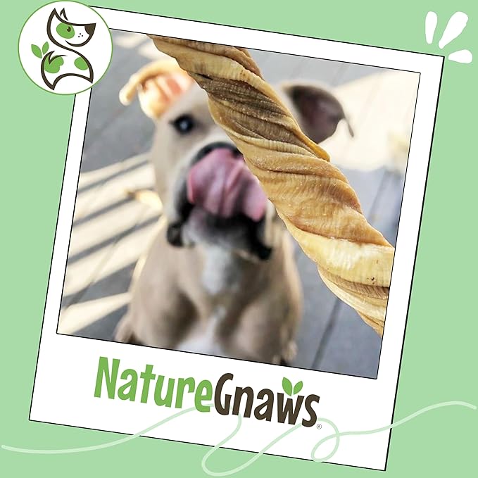 Nature Gnaws Tripe Twists for Dogs 4-5" (20 Count) - Crunchy Grain Free Reward Snack for Small, Medium & Large Breeds - Natural Beef Dog Chew Treats - Rawhide Free