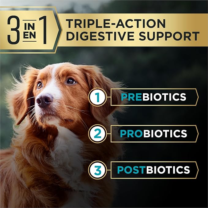 Purina Pro Plan AdvantEDGE Digestive Support Plus Salmon and Oat Meal Formula Adult Dry Dog Food - 3.5 lb. Bag