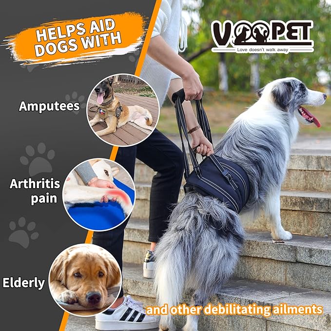 voopet Portable Dog Lift Harness for Back Legs, Upgrade Dog Sling Comfortably Supports Back Legs, Hip Support Harness to Help Lift Rear for Canine Aid Cruciate Ligament Rehabilitation Medium