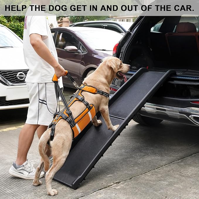 COODEO Mobility Dog Lift Harness, Emergency Carry Sling, Pet Rear Leg Support Rehabilitation Lifts Vest, Dog Carrier for Senior Dogs Joint Injuries, Arthritis (Orange, L)