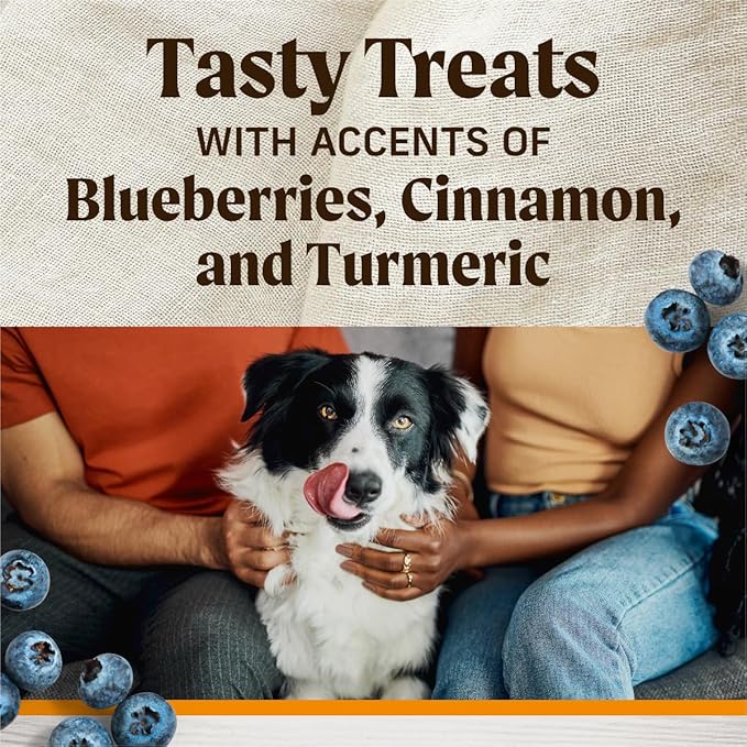 Healthy Bites Grain Free Dog Treats, Soft Treats With Bone Broth for Dogs, Chicken And Bone Broth Recipe - 16 oz. Pouch