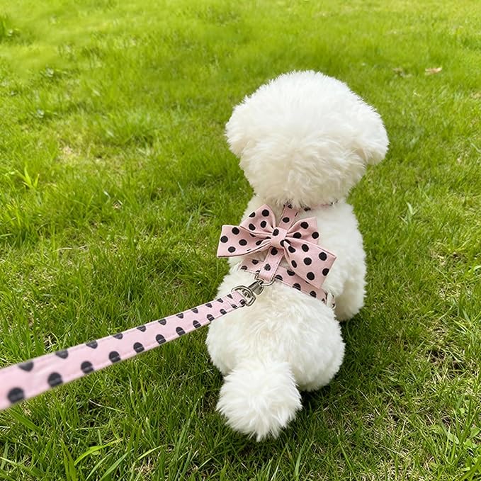 Cat Harness and Leash Set, Sweet Bow Accent Kitten Collar, Escape Proof Pink Dog Harness, Cute Polka Dot Print Puppy Collar, Girl Dog Leash for Small Dogs Cats Outdoor Walking (Pink, M)