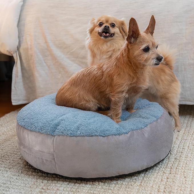 JAXX Robbi Dog Bed Bean Bag – Round Bed with Machine Washable Cover and No-Slip Base - Supportive Memory Foam for Senior Dogs & Joint Pain Relief - Ultimate Comfort & Luxury - Small, Blue/Grey