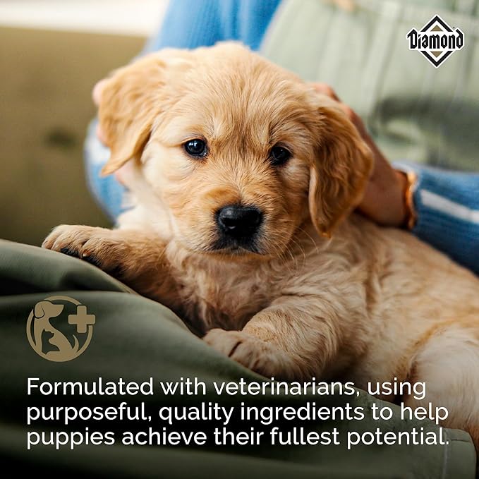 Diamond Puppy Dry Dog Food 31/20 for All Life Stages Including Puppies and Pregnant and Nursing Adult Dogs 40lb Bag