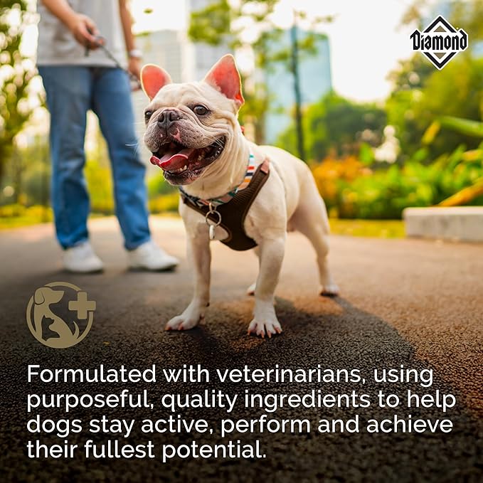 Diamond Maintenance Adult Dry Dog Food 22/12 for Moderately Active Dogs 20lb Bag