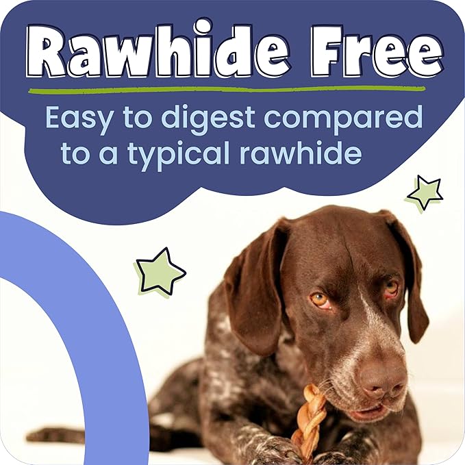 Pawstruck 6 Inch Bully Sticks with Bonus Inch for Dogs (5 Pack) - All Natural Beef Pizzle, Long Lasting, Rawhide-Free, Low Odor, Single Ingredient Dog Chews & Dental Treats