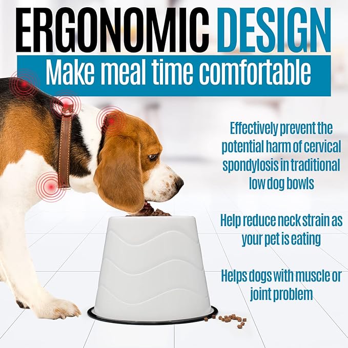 No Slip Base Elevated Bowls for Dogs Wearing Cone - Raised Bowls for Large Dogs - 2 Pair
