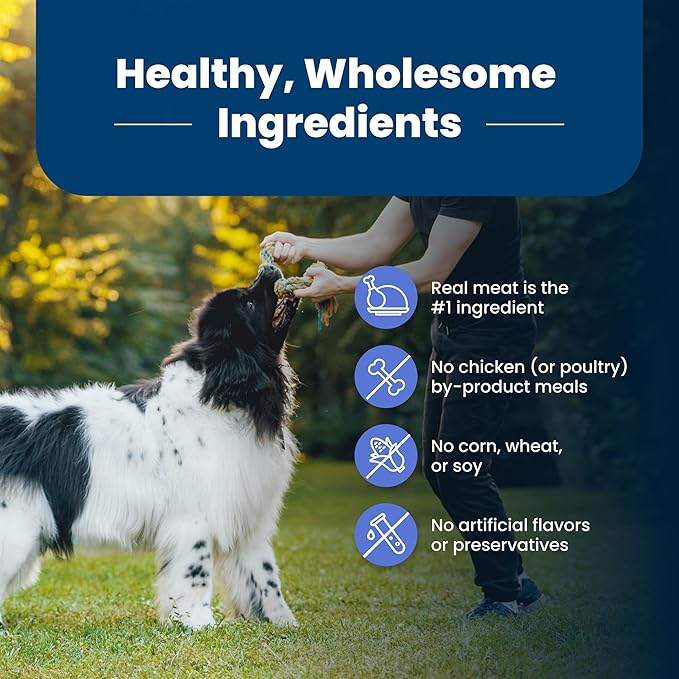 Blue Buffalo Life Protection Formula Healthy Weight Large Breed Adult Dry Dog Food for Weight Control, Made with Natural Ingredients, Chicken & Brown Rice Recipe, 34-lb Bag