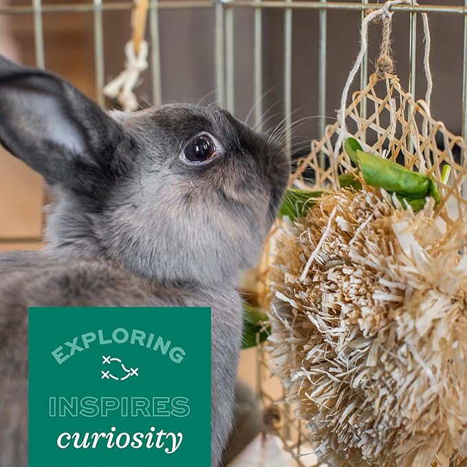 Oxbow Enriched Life Apple Stick Hay Feeder, Rabbit Toys, Guinea Pig Toys, Enrichment for Bunny, Guinea Pig, Hamster, Rabbit, Chinchilla, Chinchilla Cage Accessories, Small Pet Accessories for Cage