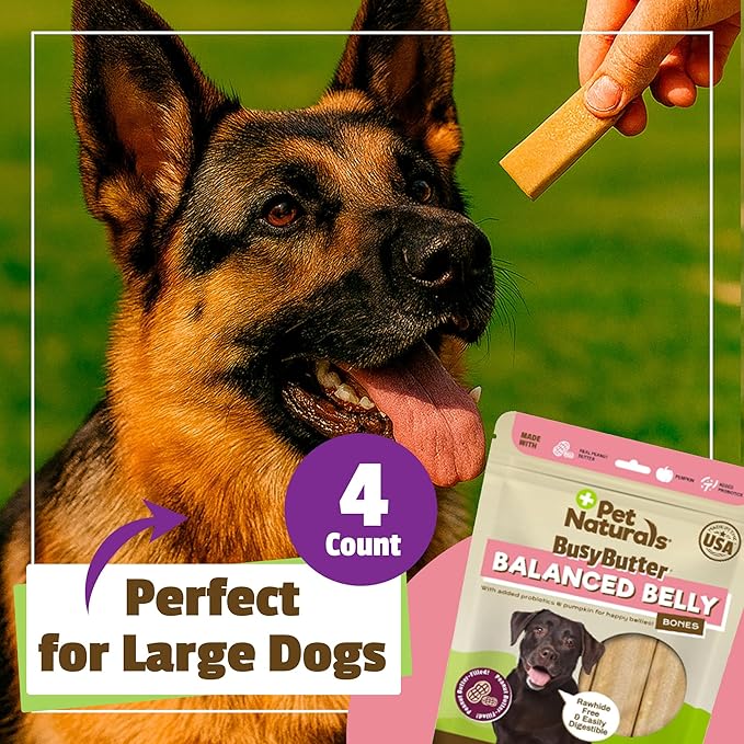 Pet Naturals BusyButter Balanced Belly Bones Medium/Large Dogs – 4 Count, Rawhide-Free Long Lasting Chews with Probiotics, Prebiotics & Pumpkin for Dog Digestive & Gut Health Support, Peanut Butter