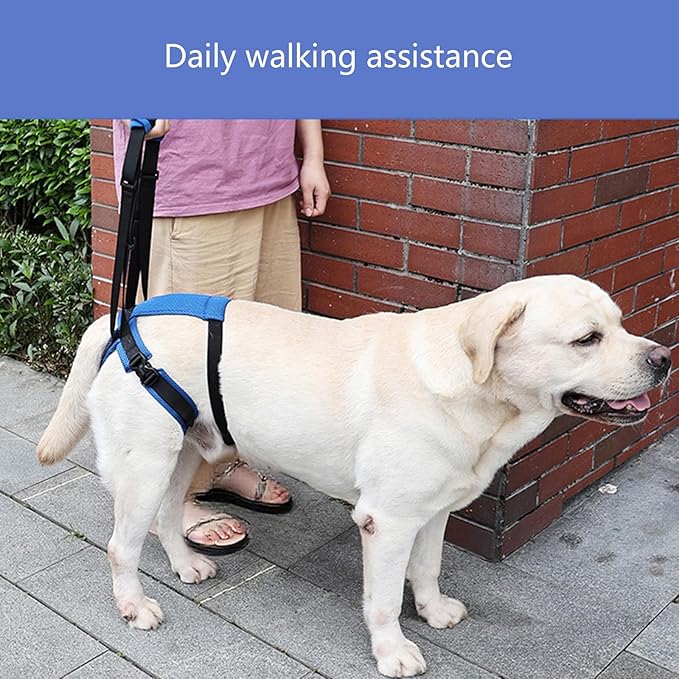 Adjustable Dog Rear Leg Harness, Breathable Mobility Aid for Elderly/Disabled Pets, Easy Stair Access Pet Rear Leg Harness Belt