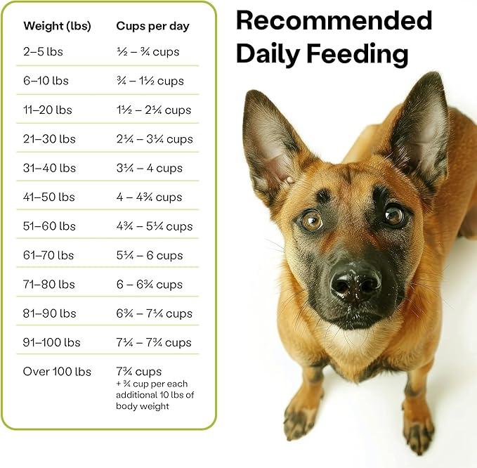 Wild Earth Vegan Dry Dog Food Performance Formula | Plant-Based Vegetarian Kibble | Wheat-Free, Allergen-Free, Veterinarian-Developed | Veggie Supreme Flavor, 4lb Bag
