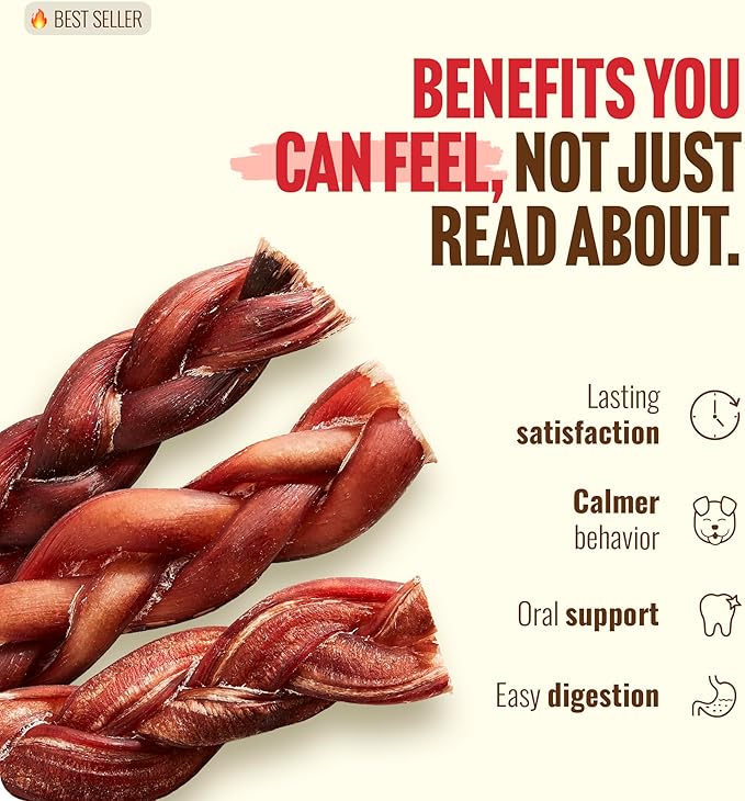 Natural Farm Odor-Free Braided Bully Sticks (12 Inch, 10 Pack) - 100% Grass-Fed Beef, Grain-Free, Low Fat & Fully Digestible Best Dental Treats - Safest Long Lasting Pizzle Chews to Keep Your Dog Busy