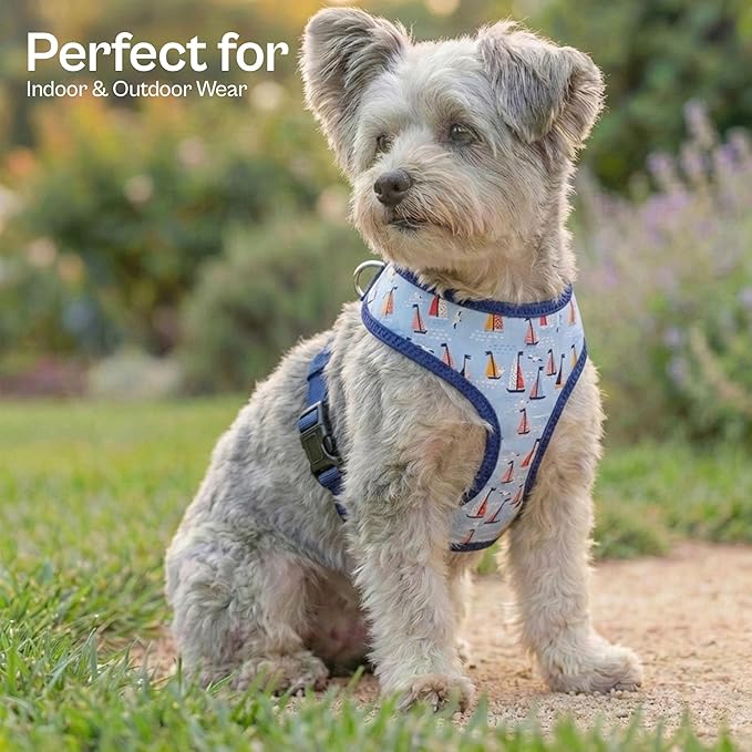 Parisian Pet Sailboat Dog Harness - Breathable No Pull Puppy Harness with Leash Ring - Adjustable Nautical Harnesses for Dogs - Soft Padded Step-in Pet Vest - Lightweight Dog Vests for Large Dogs