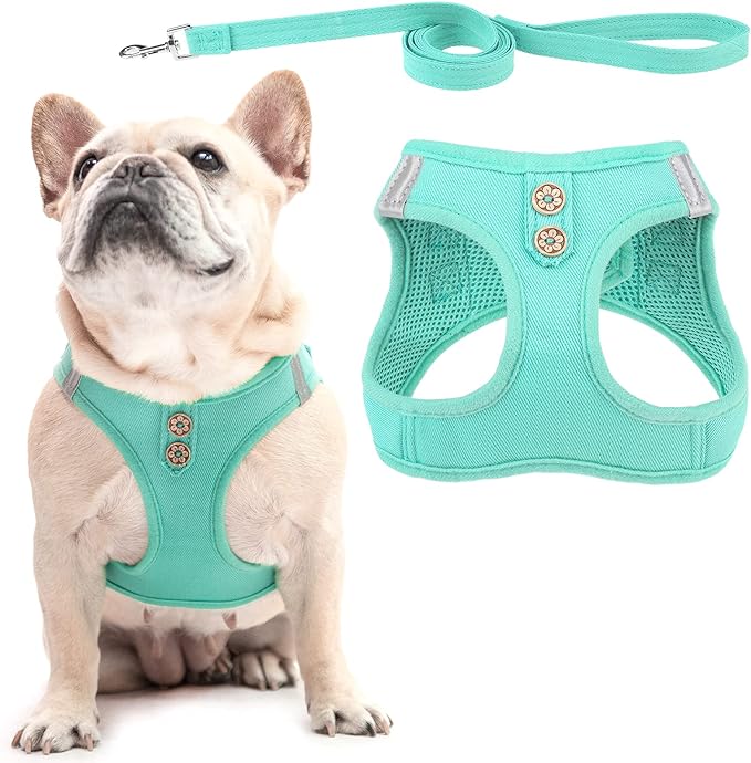 PUPTECK Dog Harness and Leash Set for Small Medium Dogs No Pull Step-in Soft Mesh Puppy Cat Vest Harnesses Reflective at Night, Denim Green XS