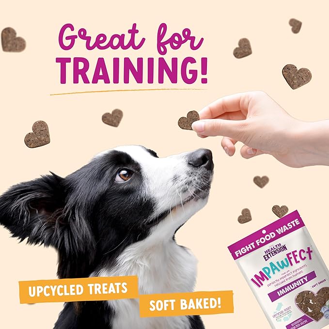 Health Extension Impawfect Dog Treats, 4.5oz (127g), Blueberry & Chia Seeds – Immunity Support, Made with Rescued Ingredients, Sustainable & Perfect for Training