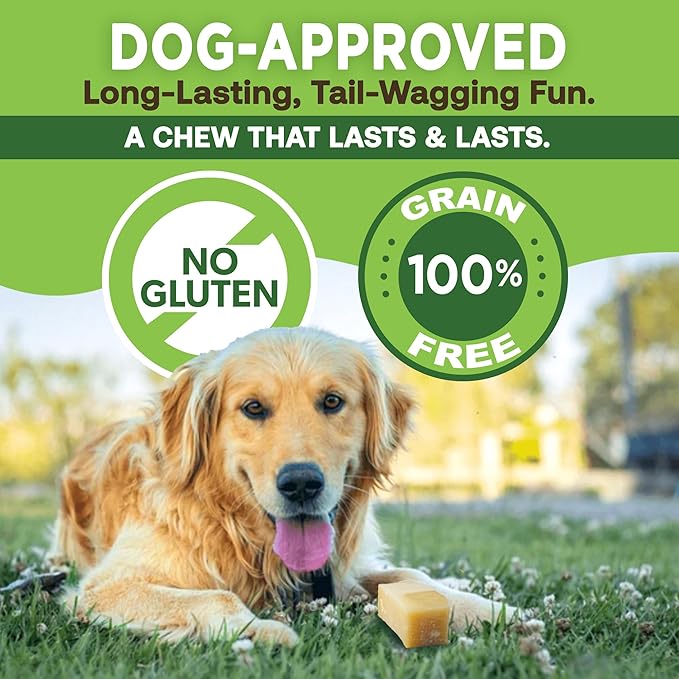 EcoKind Premium Gold Yak Cheese Himalayan Dog Chews, Healthy Dog Treats for Medium Dogs, All Natural, Long Lasting Dog Chew for Aggressive Chewers, High Protein, Rawhide Free Treat, Medium - 3 Chews