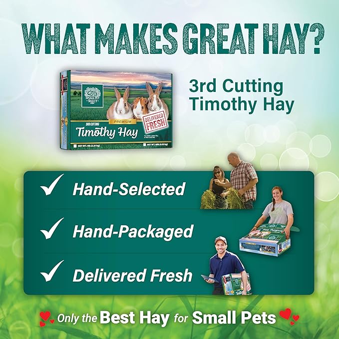 Small Pet Select 3rd Cutting Timothy Hay, Animal Food for Guinea Pig, Rabbit, Hamster, Bunny, or Chinchilla, Natural Hay Grown in The USA, 40lb