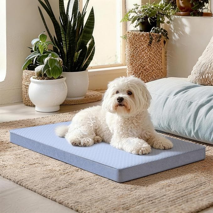 Cooling Dog Bed for Large Dogs, Washable Memory Foam Dog Beds for Crate with Joint Relief, Waterproof Liner and Removable Cover (35’’x 22’’)