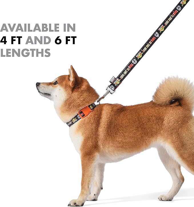 Star Wars The Mandalorian This is The Way Dog Leash - Cute Dog Lead Easily Attaches to Any Collar or Harness - Officially Licensed Pet Walking Leash, 4 Foot (48 Inch) (Pack of 2)