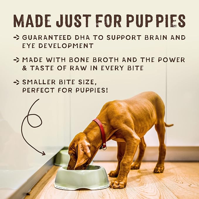 Stella & Chewy's SuperBlends Raw Blend Wholesome Grains Puppy Cage-Free Chicken & Wild Caught Salmon Recipe with Superfoods, 21 lb. Bag