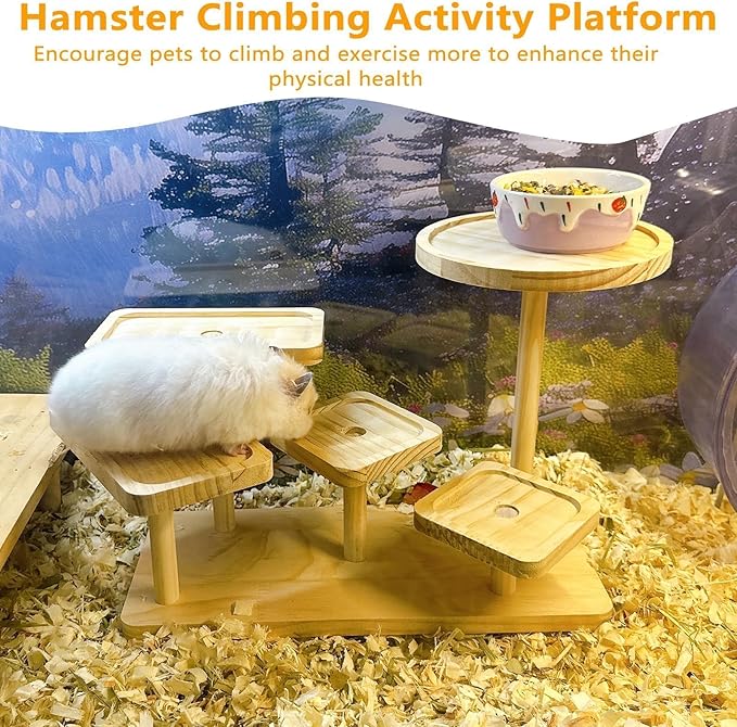 Hamster Climbing Toy Ledge Wooden Gerbil Playground Exercise Platform Enrichment Shelf Hamster Cage Accessories for Mouse Dwarf Rat Sugar Glider