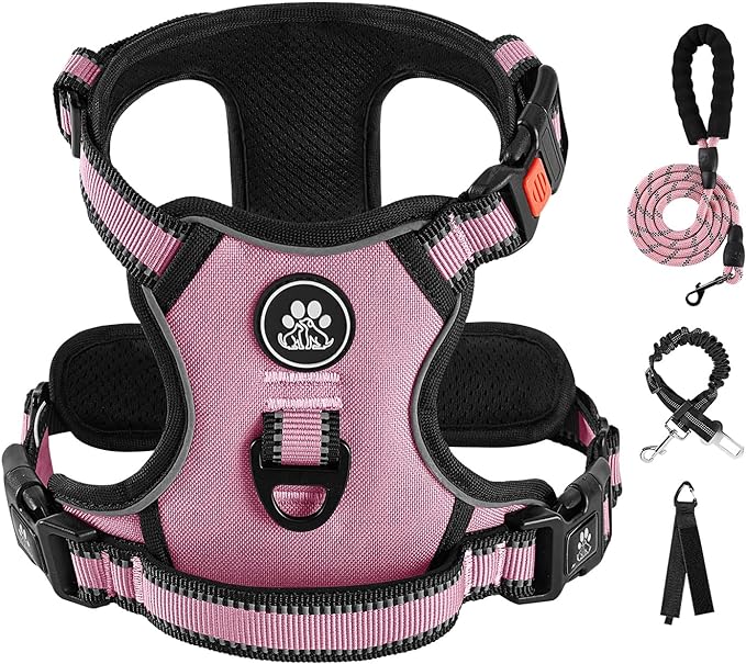 IVY&LANE No Pull Dog Harness for Small Dogs, Dog Vest Harness with Leash, Safety Belt and Storage Strap, Fully Adjustable, 360° Reflective Strip, Soft Handle (Pink, S)