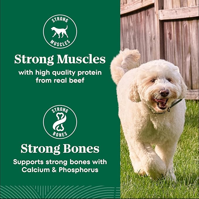 Nutro Natural Choice Dry Dog Food, Adult Dog Food Dry Chicken and Brown Rice Recipe, 5 lbs.
