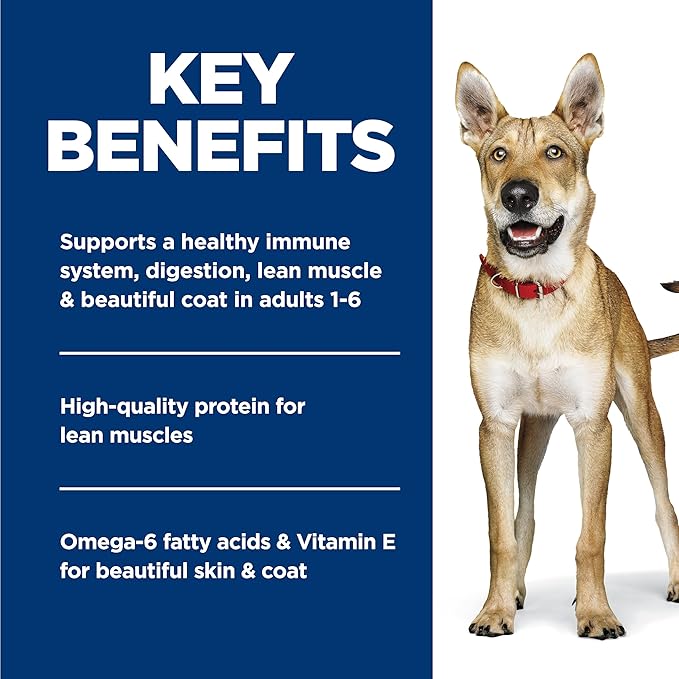 Hill's Science Diet Adult 1-6 Wet Dog Food, Beef & Barley, 13 oz. Cans, 12-Pack
