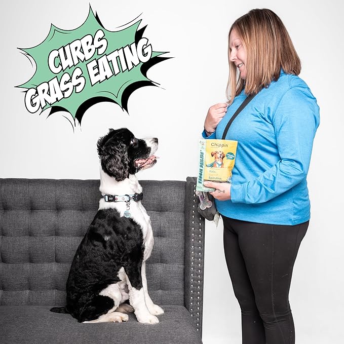 Chippin Healthy Dog Treats, All Natural Crunchy Biscuits with Spirulina, Kale, Oats, Low Calorie, No Meat, Hypoallergenic, Vegan Treats for Puppy, Small, Large Dogs