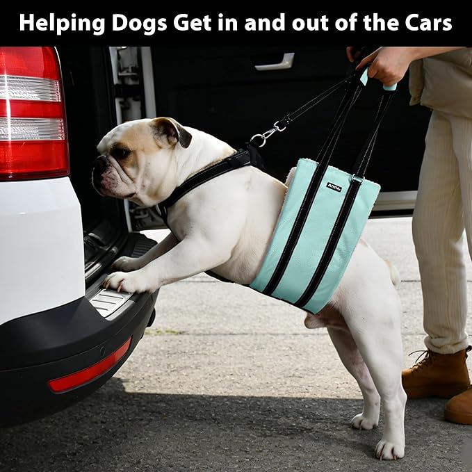 AIITLE Adjustable Anti-Slip Dog Lift Harness with Detachable Collar - Reflective Plush Dog Carrier Sling for Large Dogs, Rear Leg Support for Arthritis, Injury& Elderly Canines (Turquoise, L)
