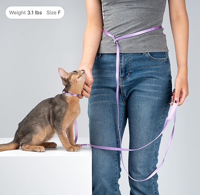 Cat Harness and Leash Set, Escape Proof Cat Harness Lightweight Leash with Padded Handle Adjustable Leash Harness for Kitten>4lbs Small Large Cats Walking Training (Midnight Black, M)