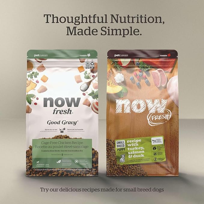 Now Fresh Grain-Free Small Breed Senior Dry Dog Food with Turkey, Salmon & Duck, Premium Kibble with Real Poultry & Fish, Chicken-Free, Added Glucosamine & Chondroitin for Healthy Joints, 6 lb Bag