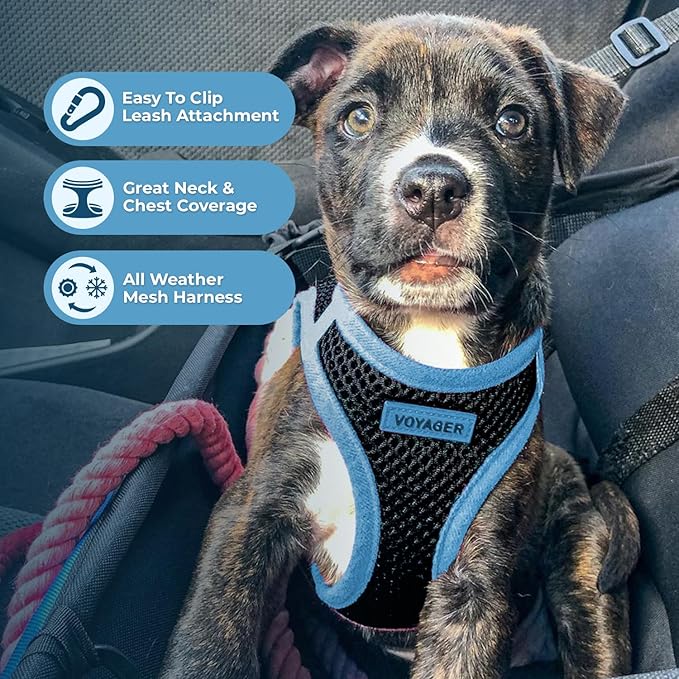 Best Pet Supplies - All Weather Mesh, Reflective, No Pull Harness for Small, Medium Dogs, Cats - Secure with Hook & Loop Fastener, Buckle, Double D-Rings - Blue Trim, XS